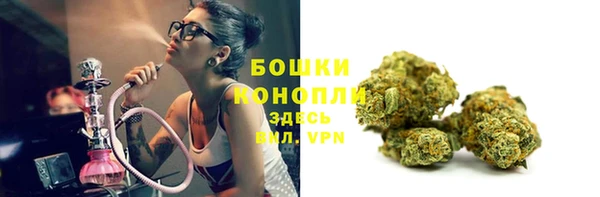 мяу мяу мука Новодвинск