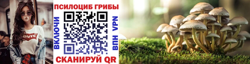 купить Клин Псилоцибиновые грибы MAGIC MUSHROOMS