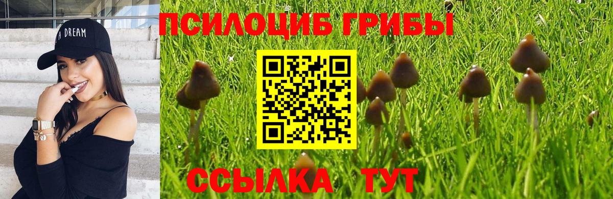 Галлюциногенные грибы прущие грибы Клин