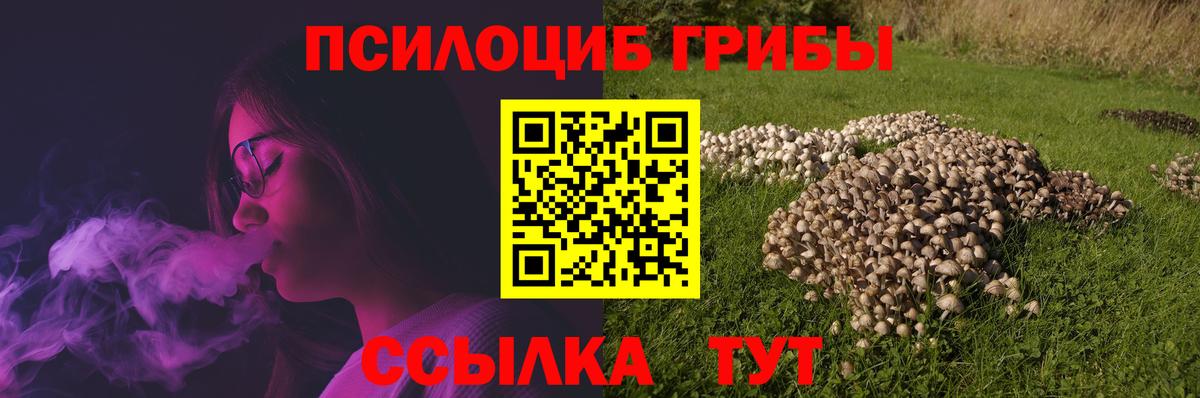 Клин  Псилоцибиновые грибы GOLDEN TEACHER  Галлюциногенные грибы ЛСД  Вход с VPN 